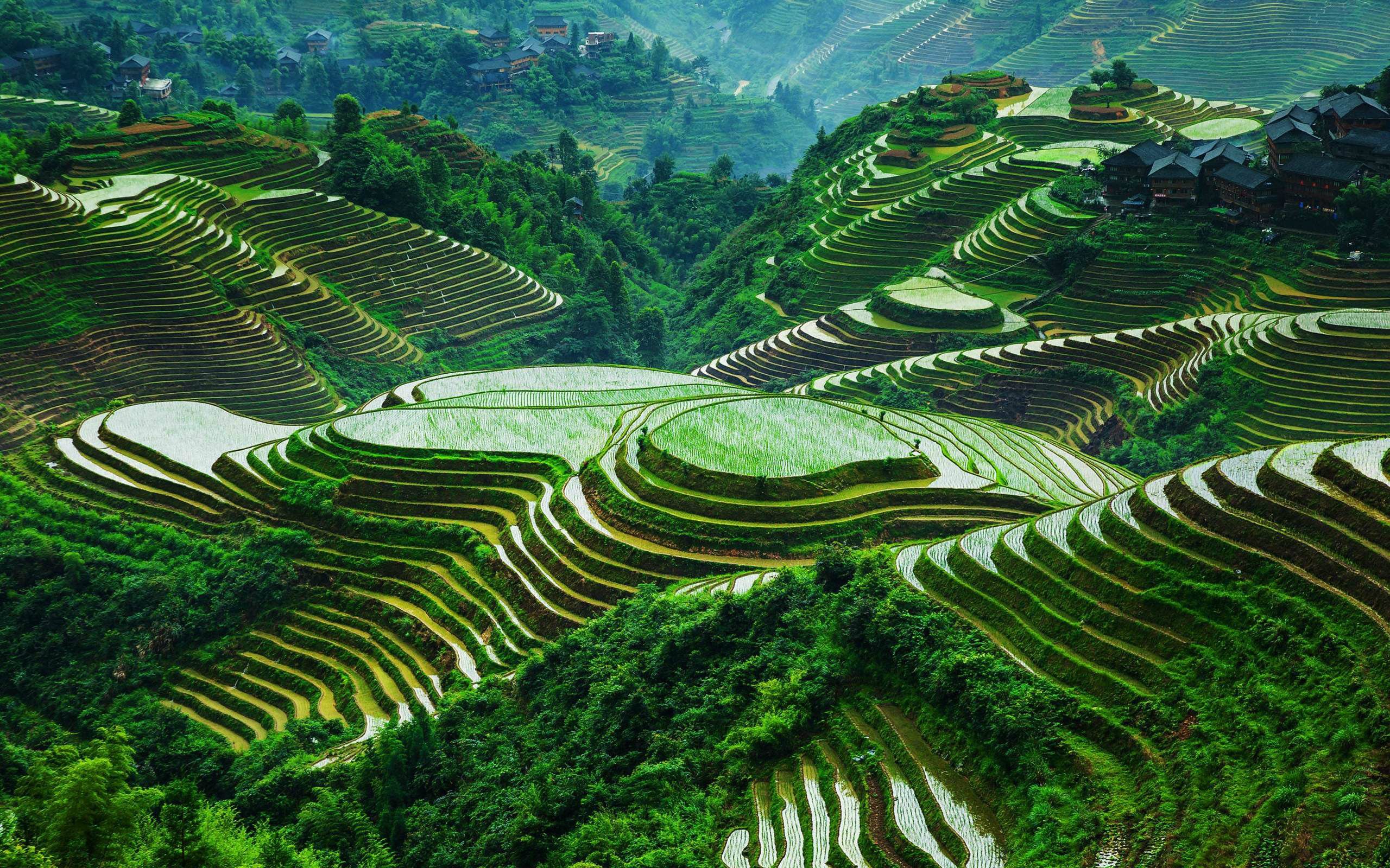 Banaue rice terraces